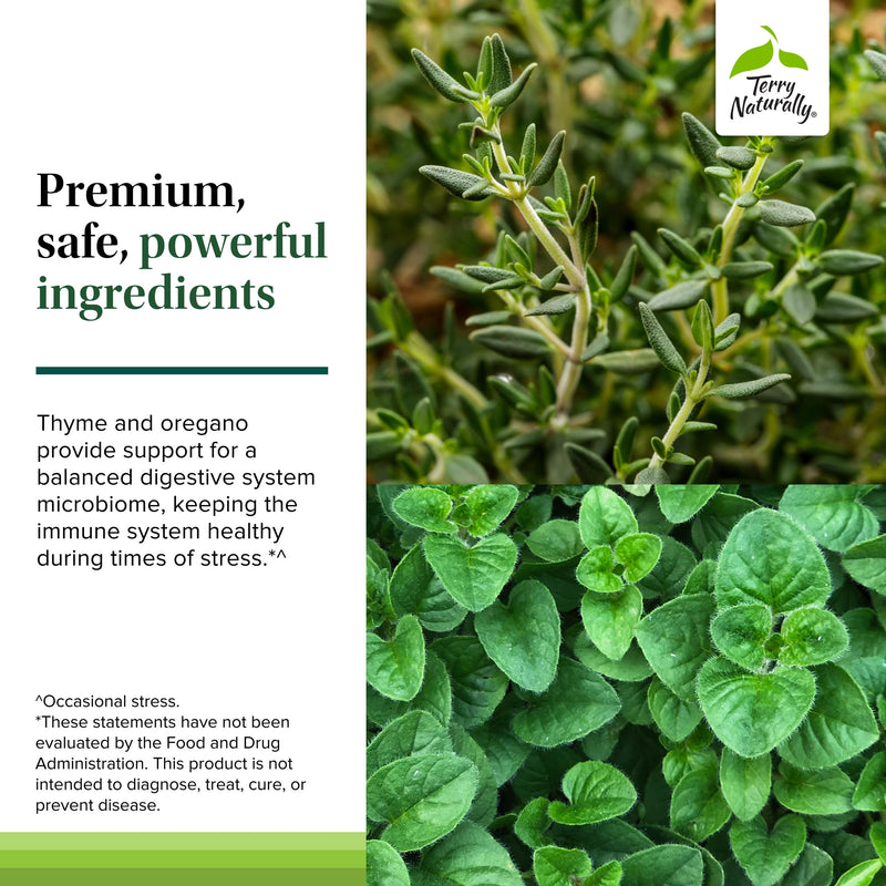 Terry Naturally Bacteril Extra Strength – Immune & GI Health (Gluten & Dairy Free)