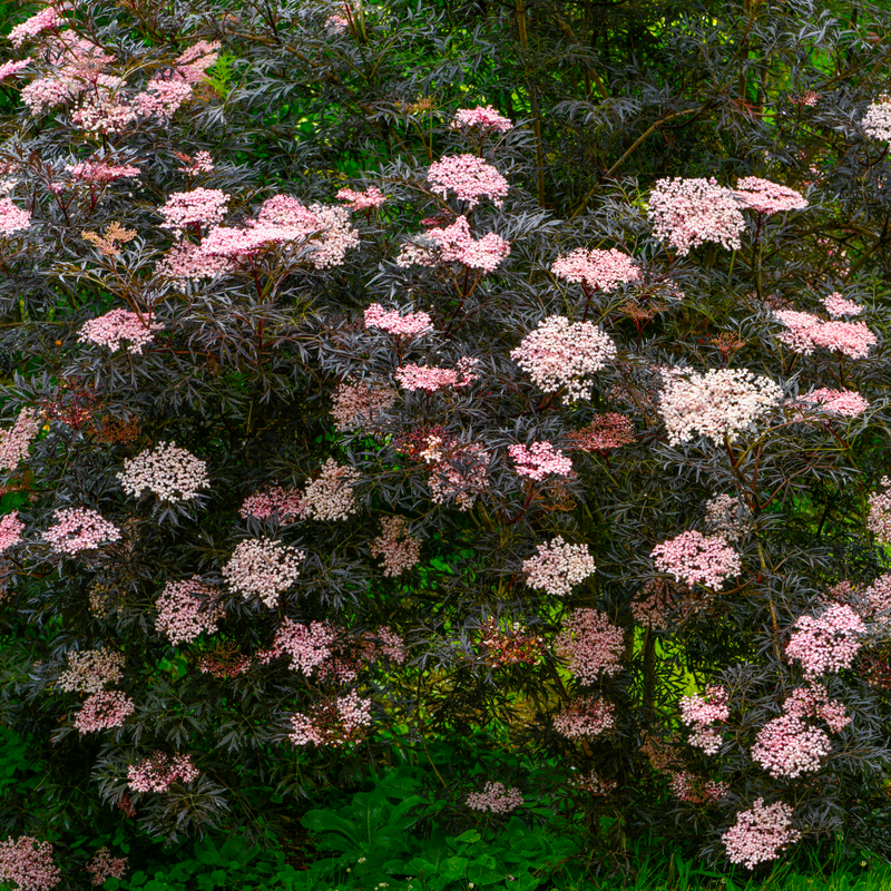 bafb06ef-2ed5-434d-94ae-4d4416e8560c.png