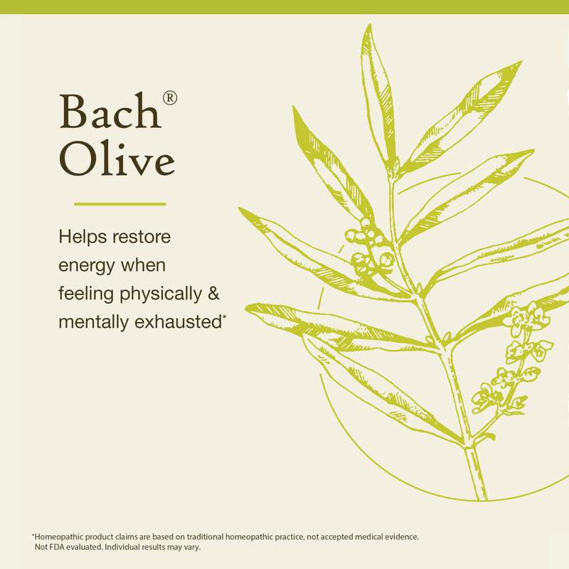Bach Original Flower Remedies Olive – Restore Energy & Emotional Balance (20mL Dropper) – Vegan, Gluten Free, Sugar Free