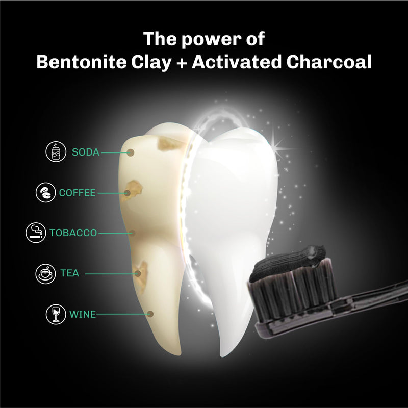 Bentodent Fluoride-Free Charcoal Toothpaste with Bentonite Clay | Natural Vegan Whitening
