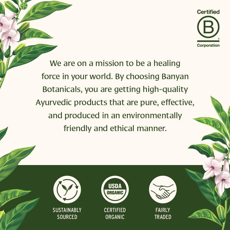 Banyan Botanicals Amla Tablets – Organic Amalaki (Emblica) | Vitamin C & Antioxidants