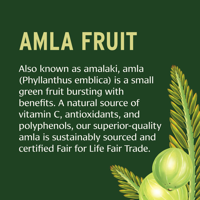 Banyan Botanicals Amla Tablets – Organic Amalaki (Emblica) | Vitamin C & Antioxidants
