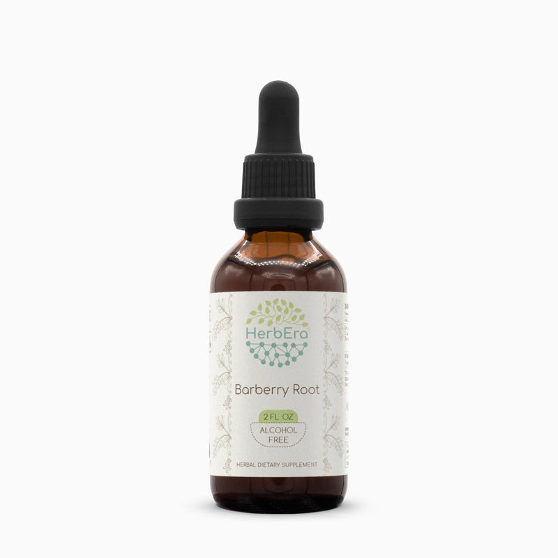 Barberry Root B60 Alcohol-Free Herbal Extract Tincture (Berberis Vulgaris) 2 fl oz | Herbera