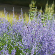 bb076af3-c3aa-4b05-a93d-ccd234017560.png