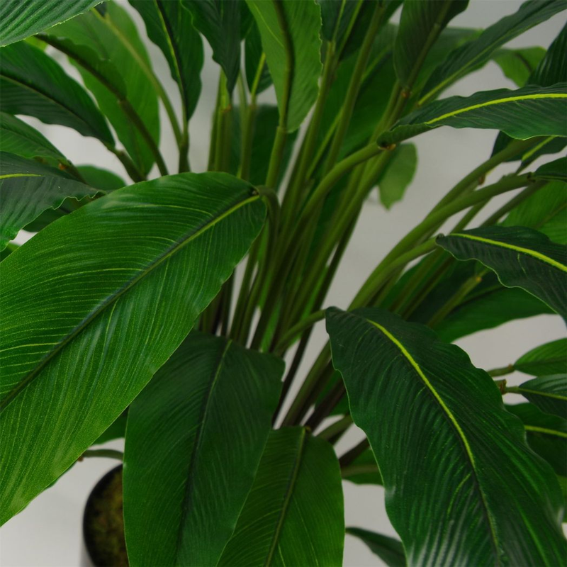 40cm Artificial Ficus Bonsai Tree