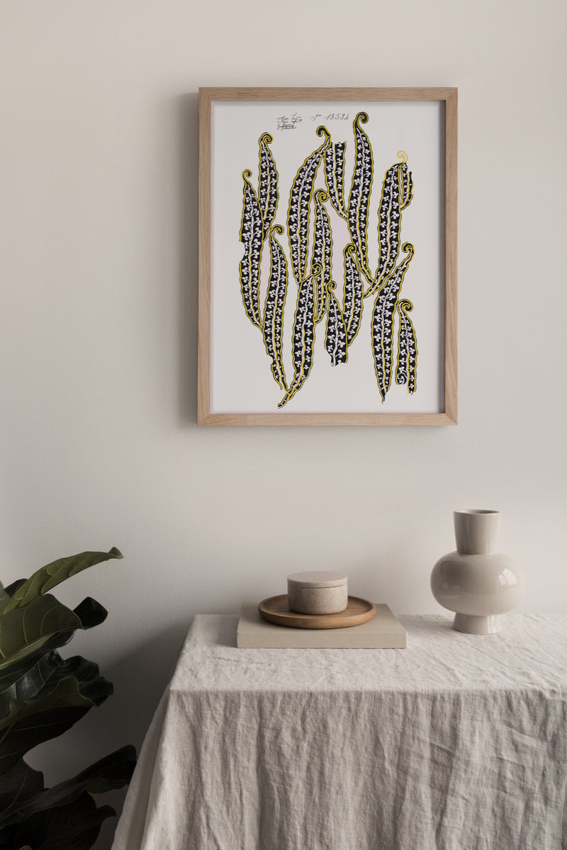 No.019 - Magic Beans - Vintage Archive Poster Prints