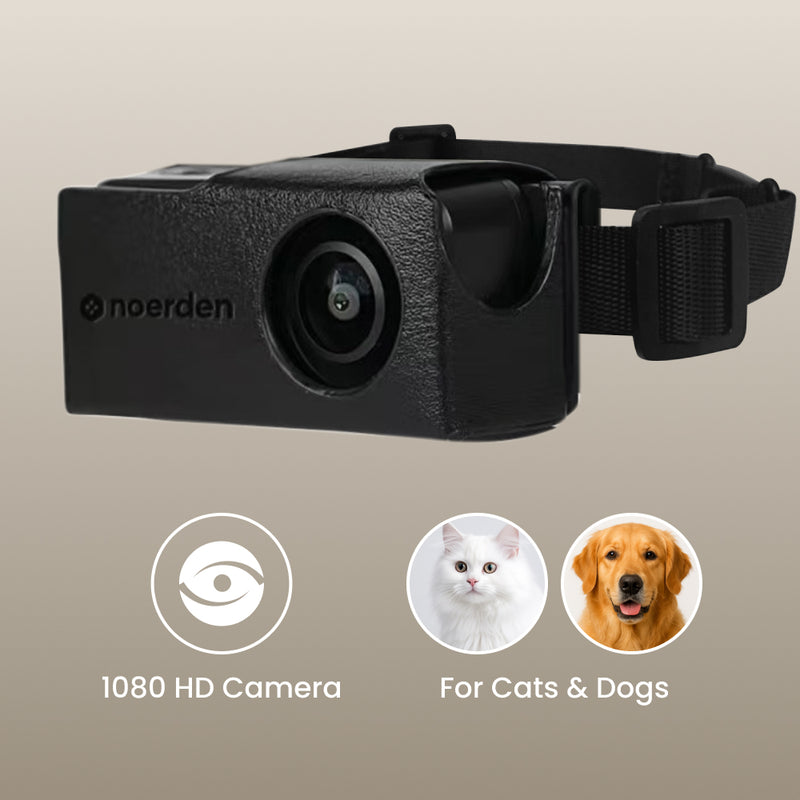 PetPOV (HD Camera Collar)