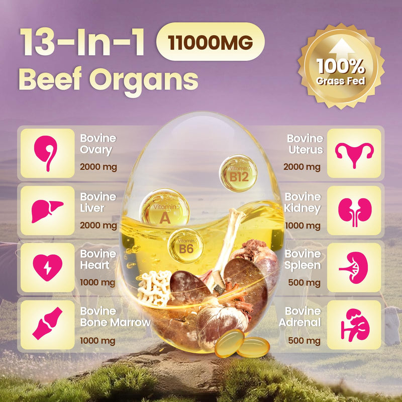 Beef Organ Supplement for Women - 100 Day Supply | 11,000mg per Serving | Grass-Fed