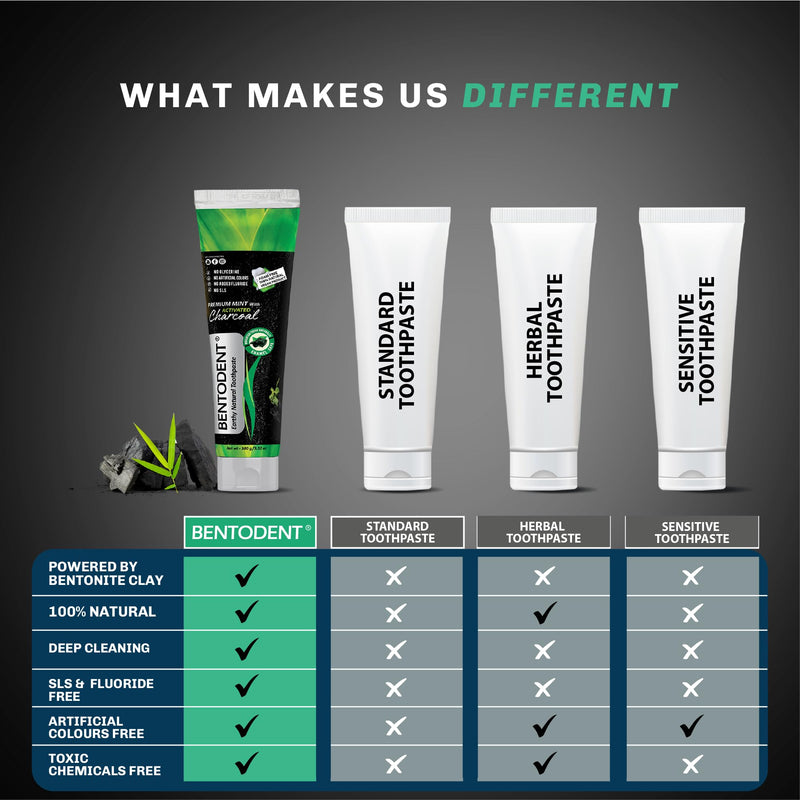 Bentodent Fluoride-Free Charcoal Toothpaste with Bentonite Clay | Natural Vegan Whitening