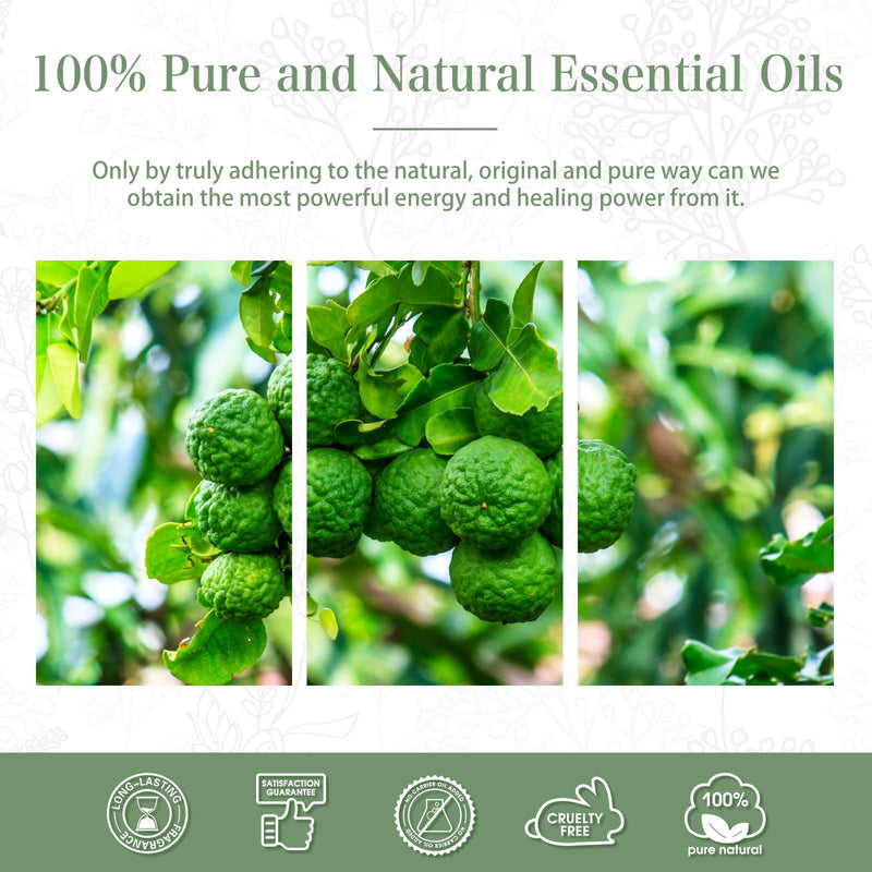PHATOIL Bergamot Essential Oil 100ml – Aromatherapy, Diffusers, DIY Candles & Soaps