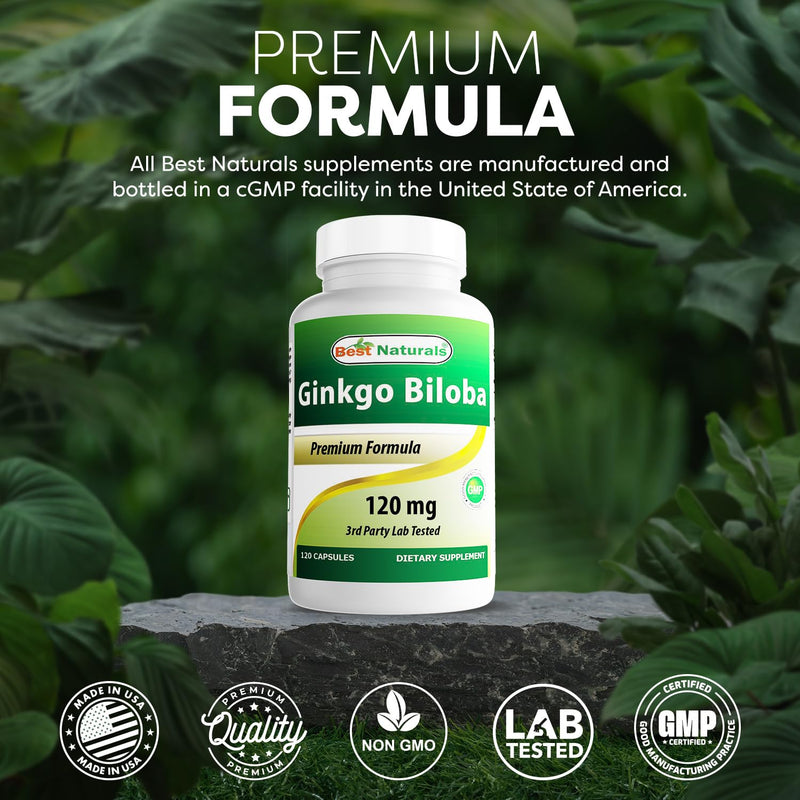 Best Naturals Ginkgo Biloba 120 mg 120 Capsules