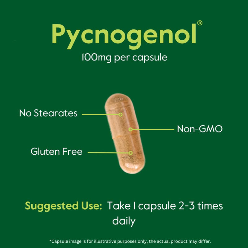 BESTVITE Pycnogenol 100mg (60 Capsules) – French Maritime Pine Bark Extract – Gluten Free, Non-GMO, No Stearates