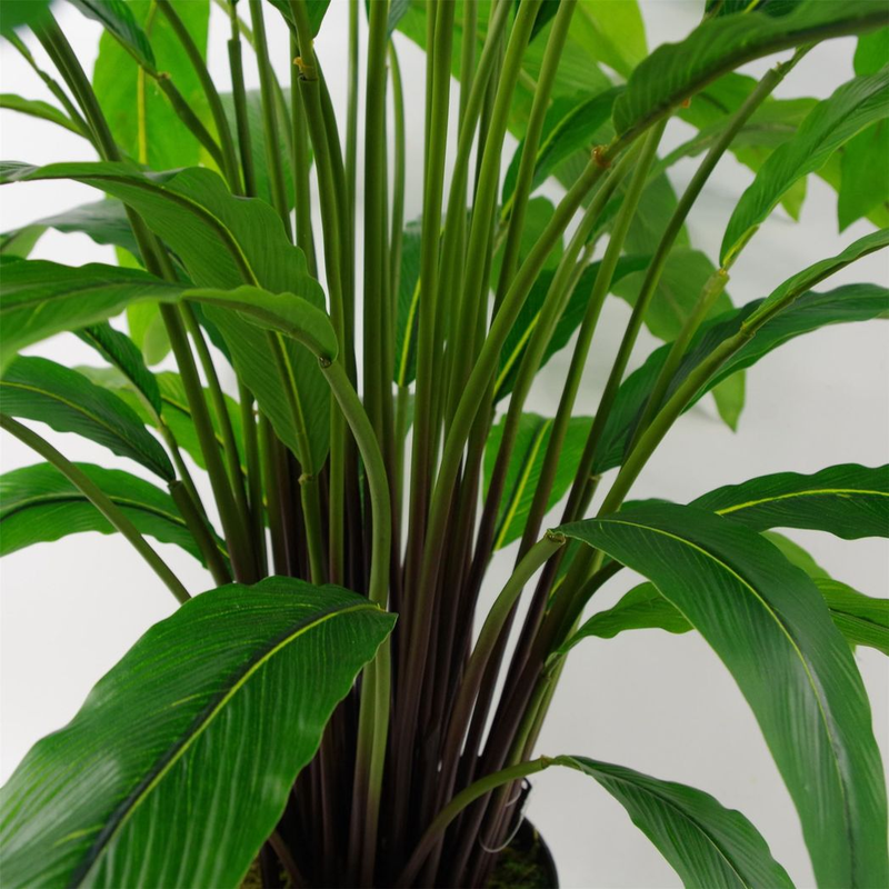 40cm Artificial Ficus Bonsai Tree