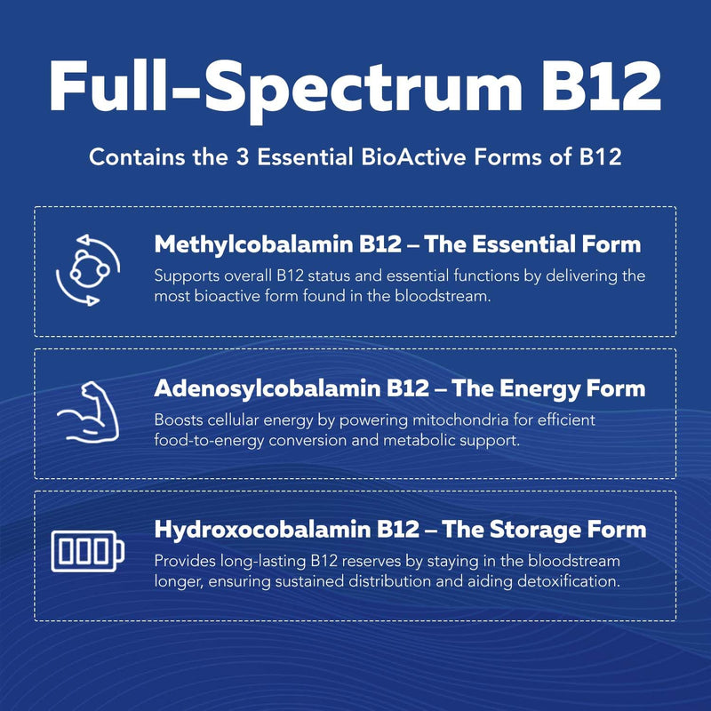 BioActive Vitamin B Complex – Bloodstream-Ready, Methylated B Vitamins, 60 Servings
