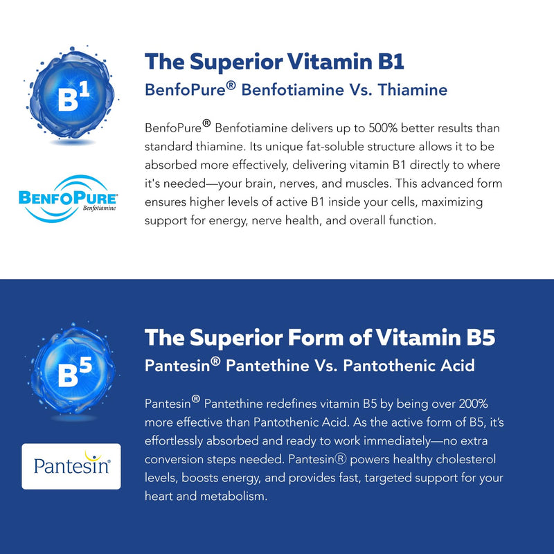 BioActive Vitamin B Complex – Bloodstream-Ready, Methylated B Vitamins, 60 Servings