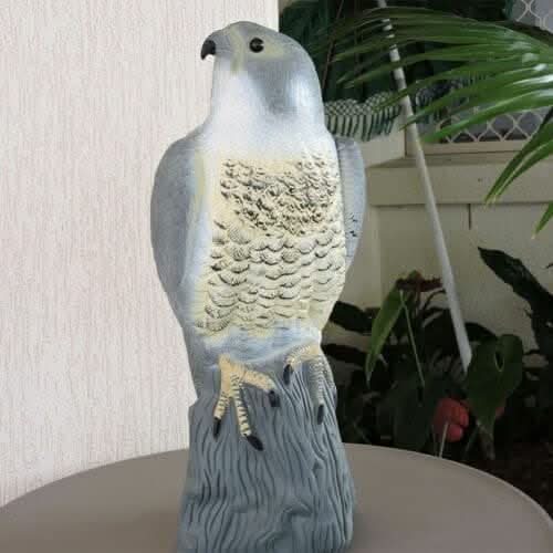 Multicoloured Realistic Falcon Bird Deterrent Garden Ornament