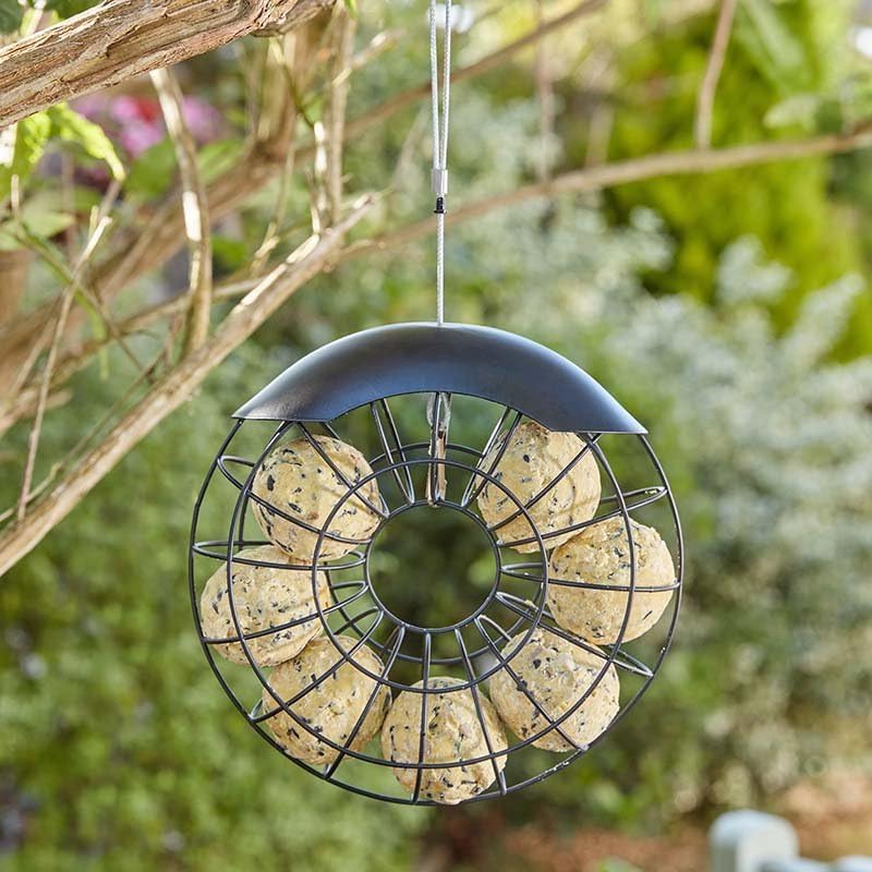20cm Hanging Suet Ball Bird Feeder Ring