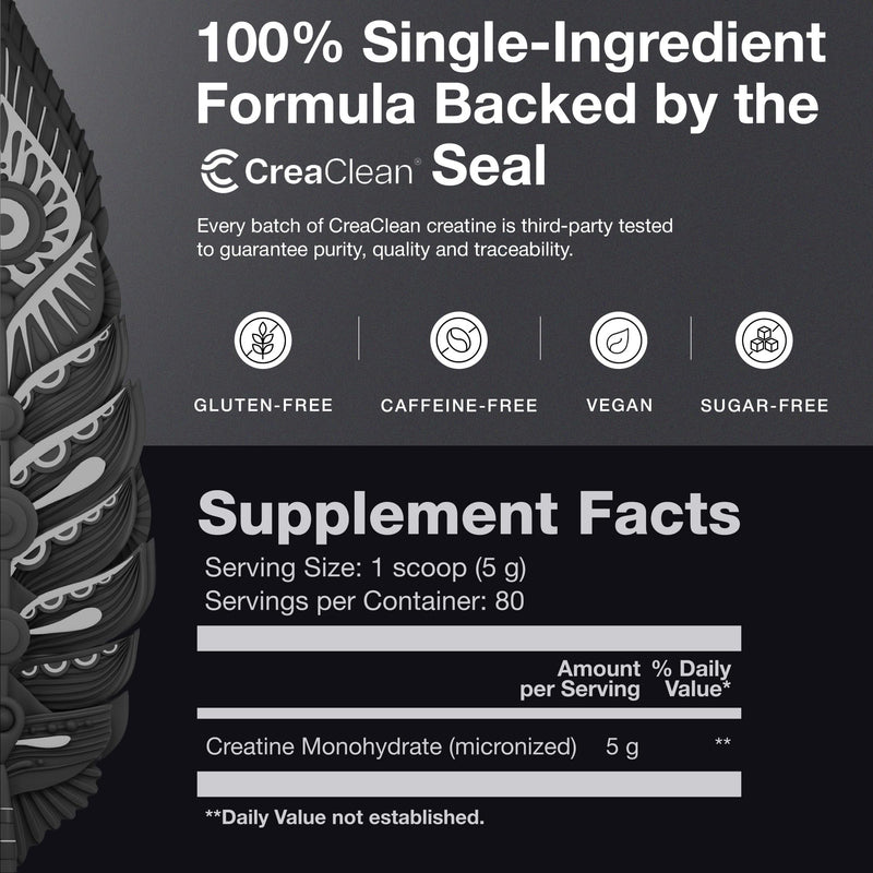 BIRDMAN Micronized Creatine Monohydrate Powder – 200 Servings (5 g Each) | Vegan, Gluten Free, Sugar Free
