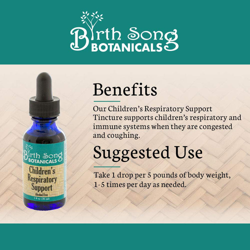 Birth Song Botanicals Children's Respiratory Support Tincture with Elderberry | Immune Support for Kids 1oz