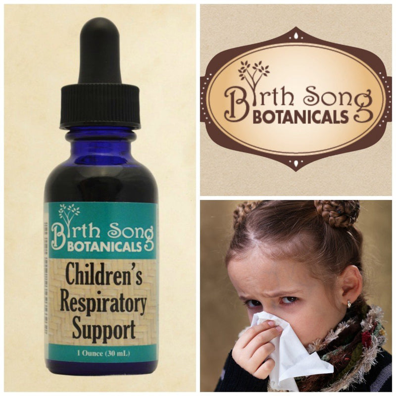 Birth Song Botanicals Children's Respiratory Support Tincture with Elderberry | Immune Support for Kids 1oz