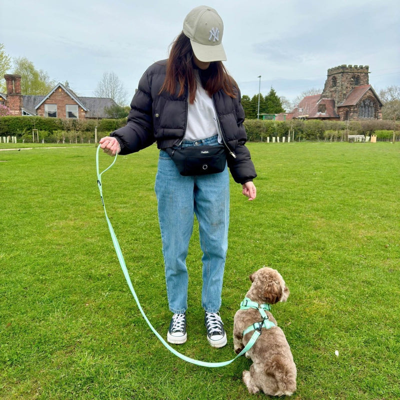 PupClub Dog Lead - Pastel Green