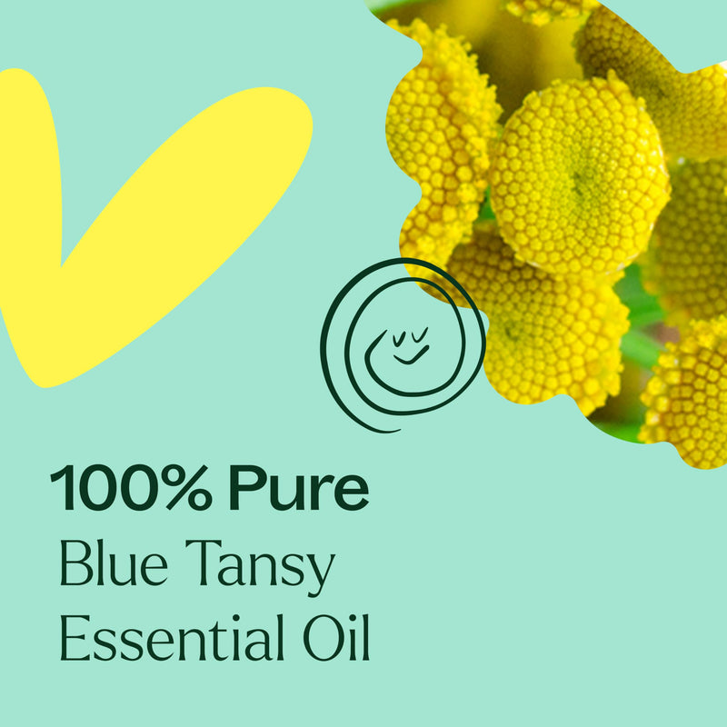 Plant Therapy Blue Tansy Essential Oil 5 mL (1/6 oz) | 100% Pure & Undiluted