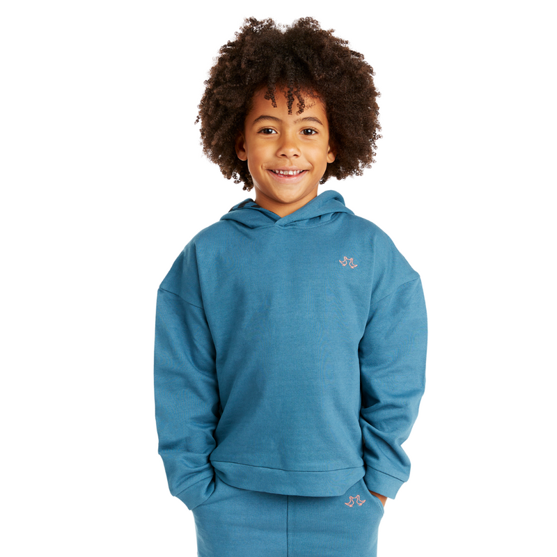 bluehoodie1.png