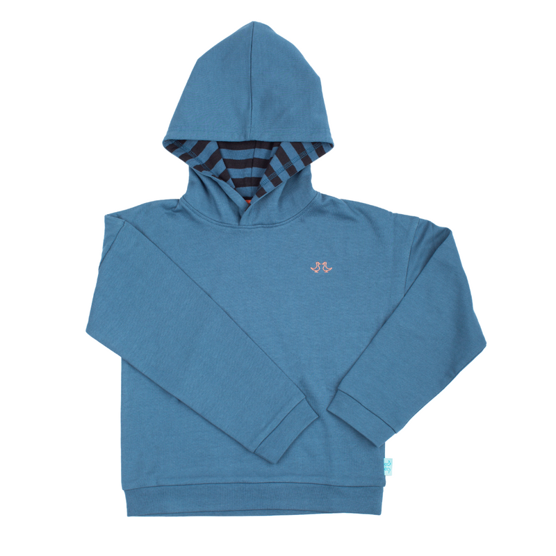 bluehoodie2.png