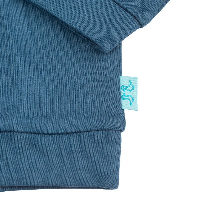 bluehoodie3.png