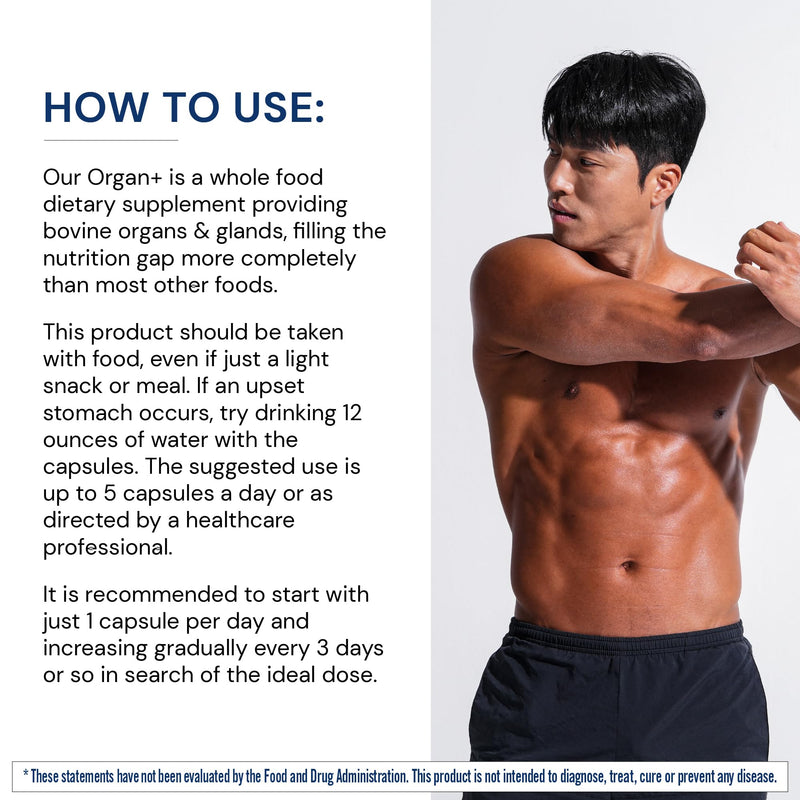 BodyHealth Organ+ Grass-Fed Glandular Complex – Grass-Fed Beef Organ Supplement (150 Capsules)