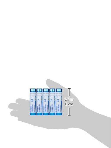 Boiron Hydratis Canadensis 30C 5-Pack Pellets – Postnasal Drip (Homeopathic)