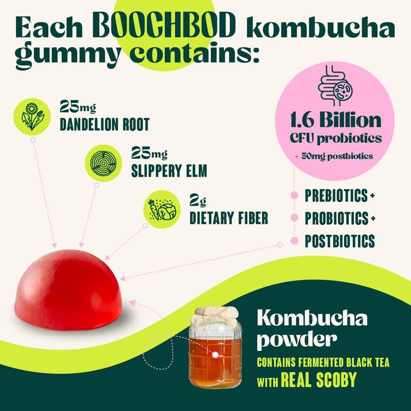 BoochBod Probiotic Kombucha Gummies – Gut Health, Prebiotics & Probiotics