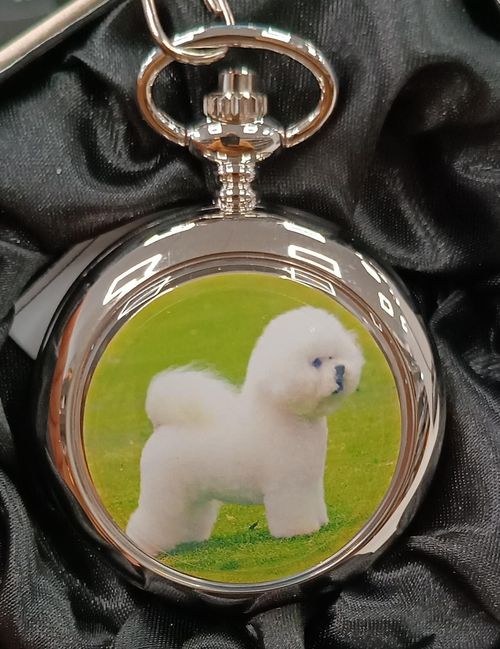 Boxx Picture Pocket watch Dog P5061.115 - InStock