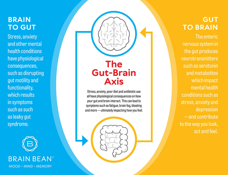 Brain Basics Ultra Pure IgG Supplement – Dairy-Free IgG-Immunolin Powder, 150g, 60 Servings
