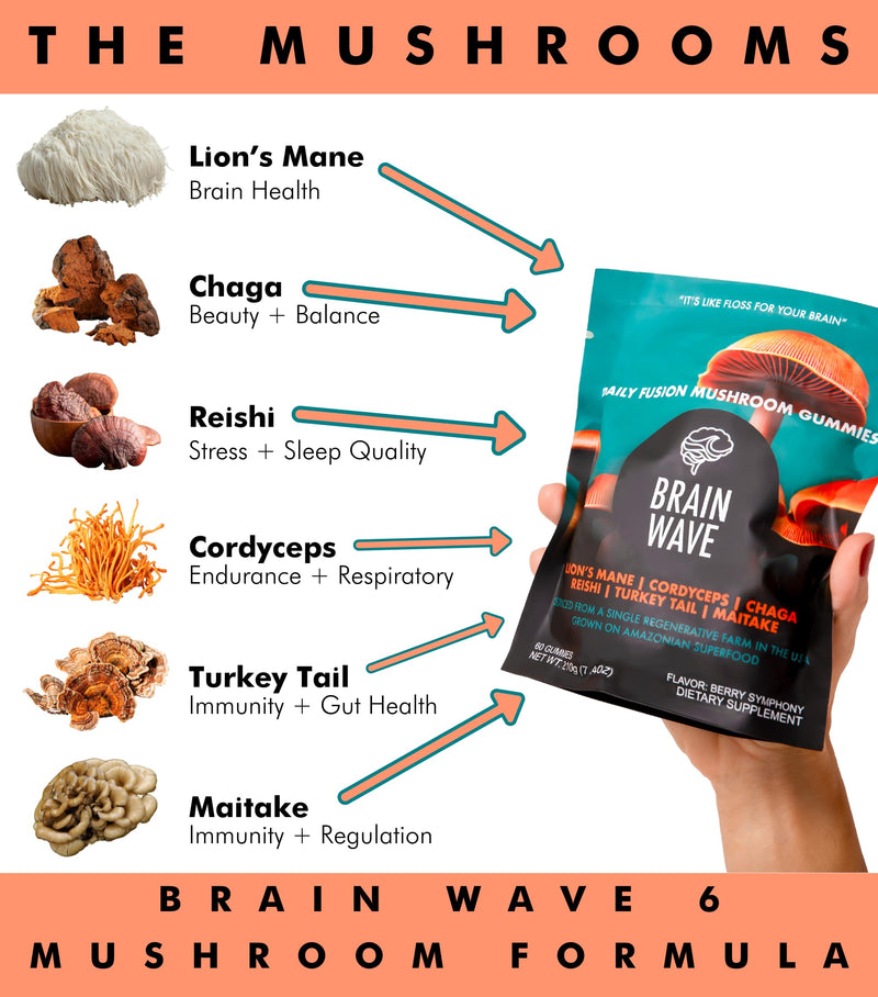 Superfood Mushroom Gummies – 2,008 mg Multi Lions Mane, Reishi, Cordyceps