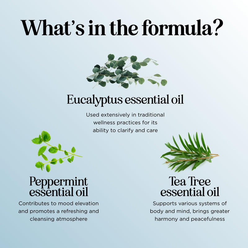 Breathe Essential Oil for Diffuser - Eucalyptus Peppermint Tea Tree Mint Blend | 1 Fl Oz
