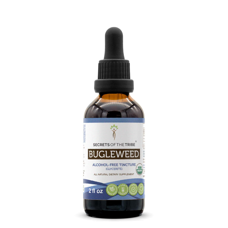 Bugleweed USDA Organic Alcohol-Free Extract - High-Potency Herbal Drops (2 fl oz)
