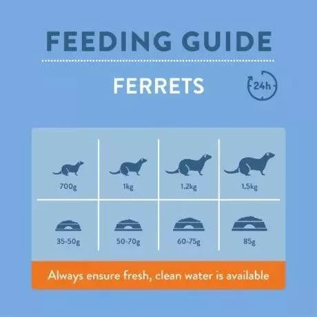 Burgess Excel Ferret Food 2kg - Case of 4