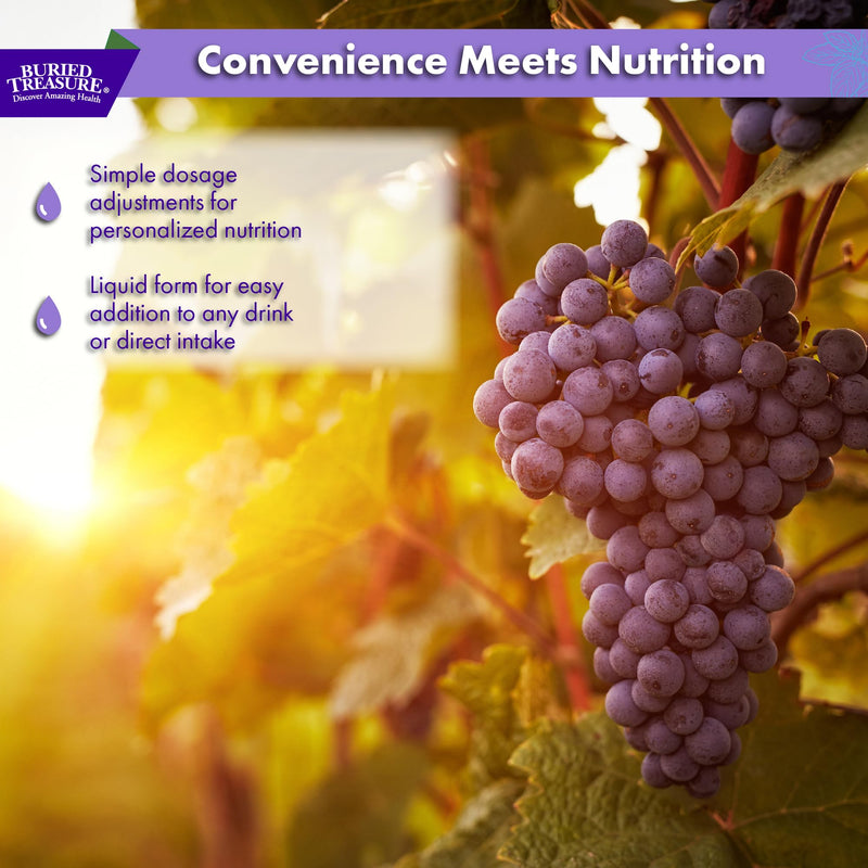 Buried Treasure Fulvic Minerals Grape Flavor – 32 Servings | Colloidal Trace Minerals & Electrolytes for Hydration