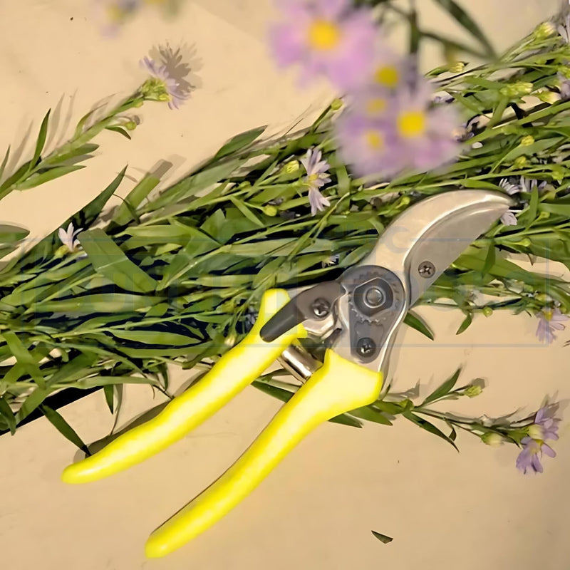 Heavy Duty Bypass Pruning Secateurs for Garden Trimming