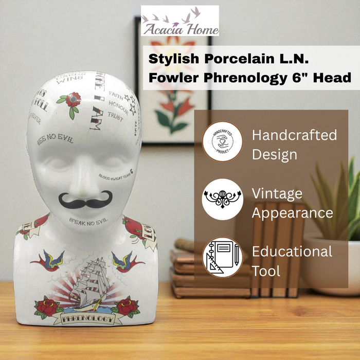 6" PHRENOLOGY HEAD