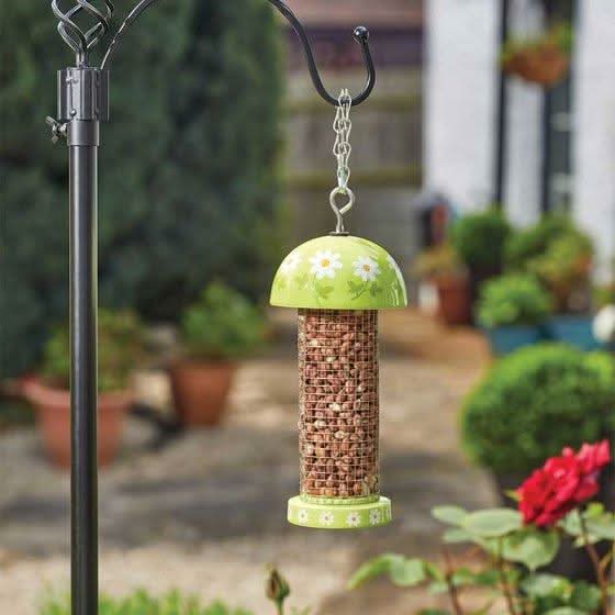 GREEN Flamboya Peanut Feeder - Flowers (Mixed case)