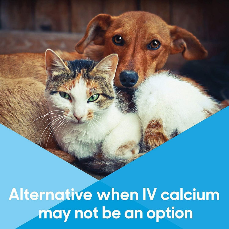 Calcium Now Whelping Calcium Paste for Dogs (15 ml, Vanilla) – Pack of 2 | Breeders Friendly