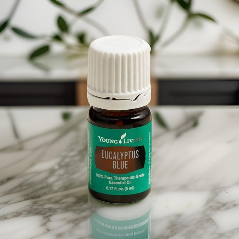 Young Living Eucalyptus Blue Essential Oil – 5 ml | Pure Botanical Extract for Diffusers & Aromatherapy