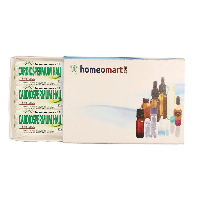 Cardiospermum Halicacabum Homeopathy Pellets 1M Potency – Pack of 3 | HomeoMart
