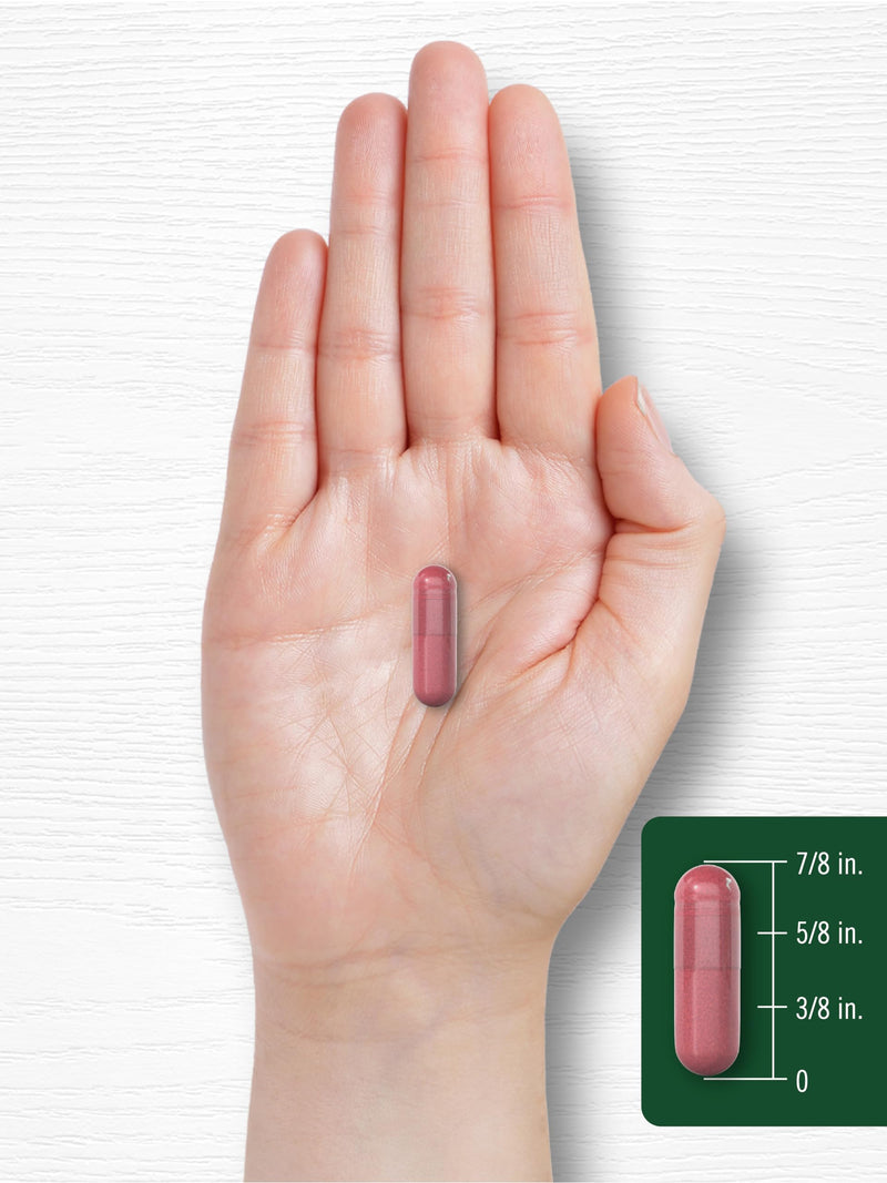 Carlyle Beet Root Capsules | 8000 mg | 120 Count | Non-GMO and Gluten Free Supplement