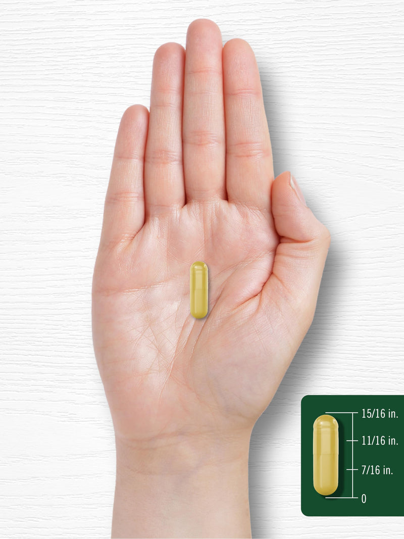 Carlyle Berberine with Ceylon Cinnamon 2000mg | 60 Capsules | Vegetarian, Non-GMO, Gluten Free (Pack of 2)