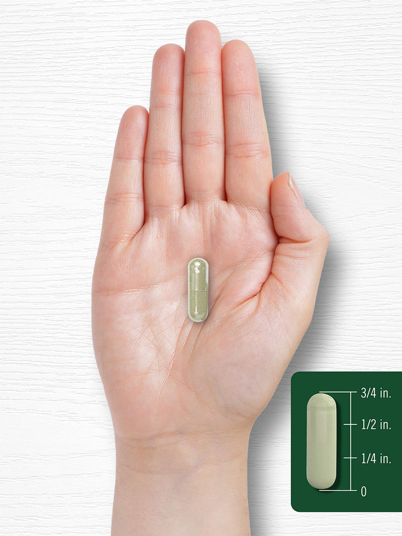 Carlyle Dong Quai Capsules 1000mg – 250 Count | Non-GMO & Gluten Free Traditional Herb