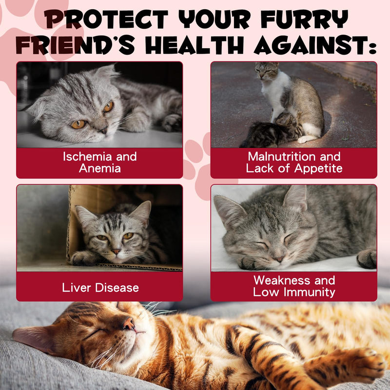 Iron Supplements for Cats - 60ML Liquid Iron with Folate and B12 | Supports Anemia, Energy Levels, and Blood Health