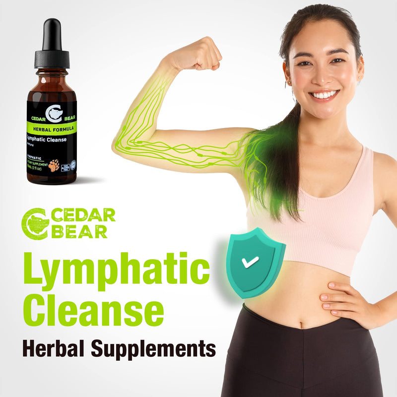 Cedar Bear Lymphatic Cleanse – Immune Support Drops (Alcohol-Free, 2 fl oz)
